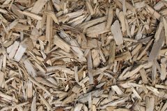 biomass boilers Cannop